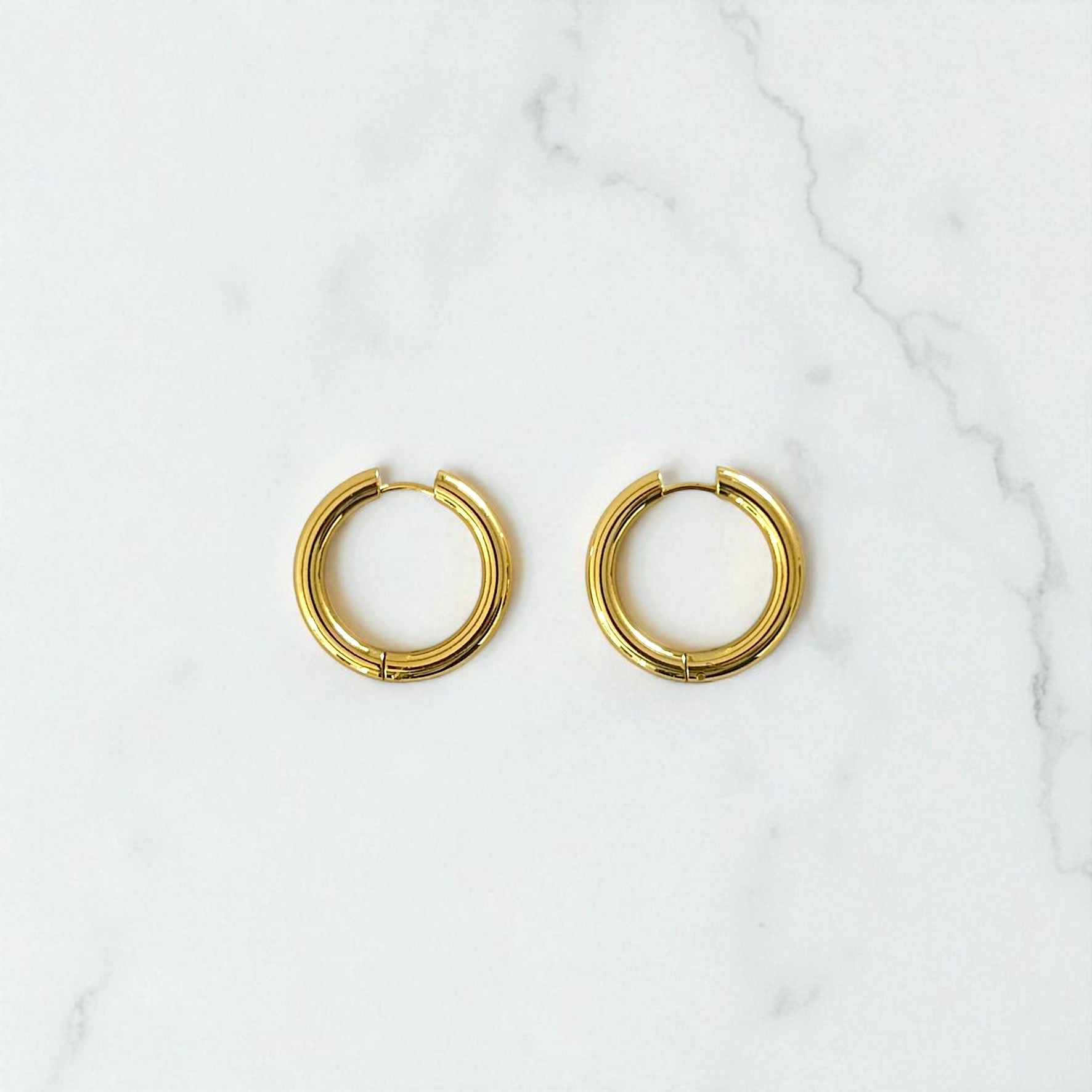 Aretes Hoops - E323