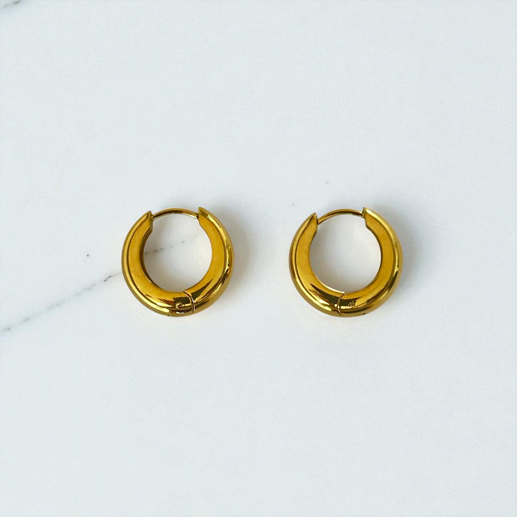 Aretes Hoops - E338