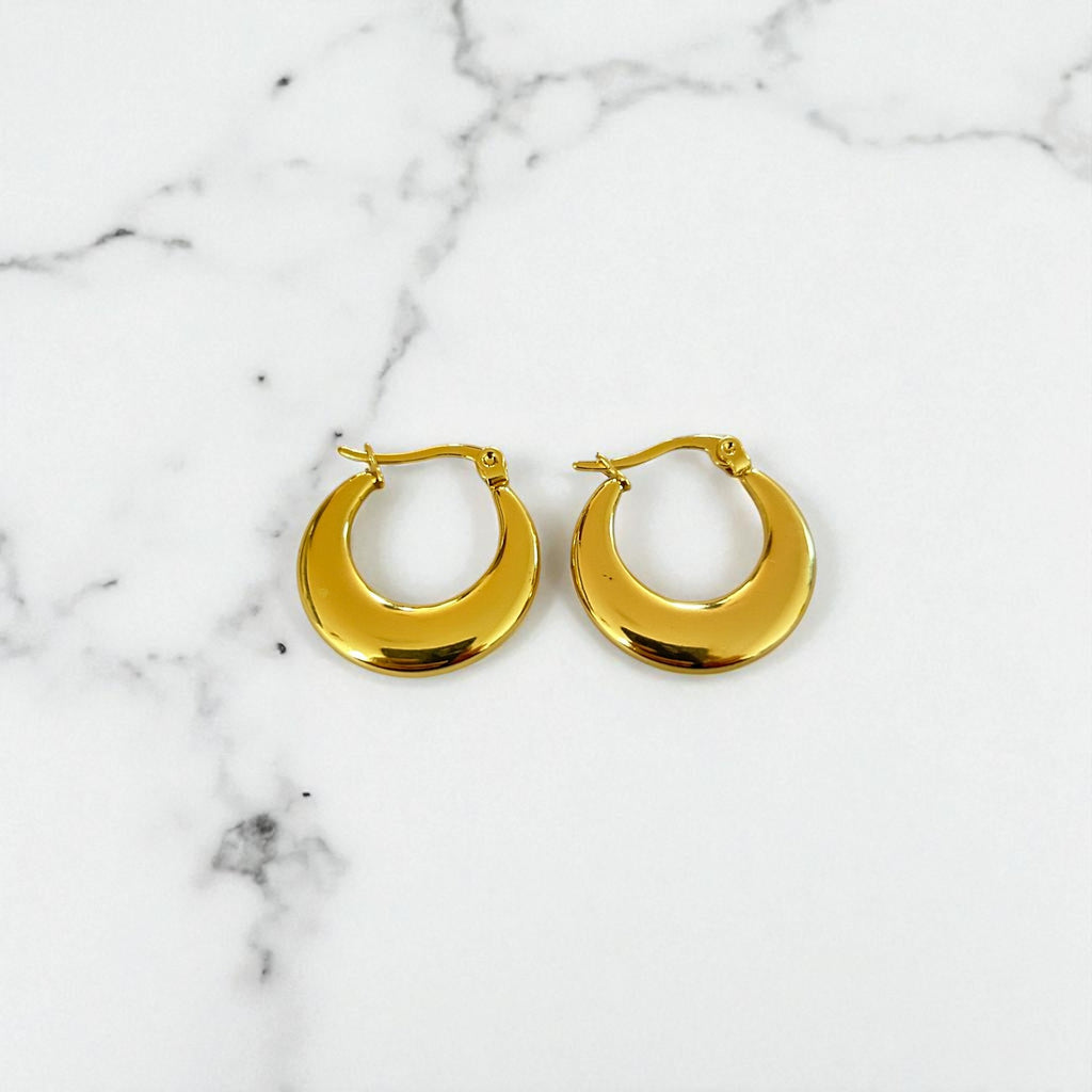 Aretes Hoops - E504
