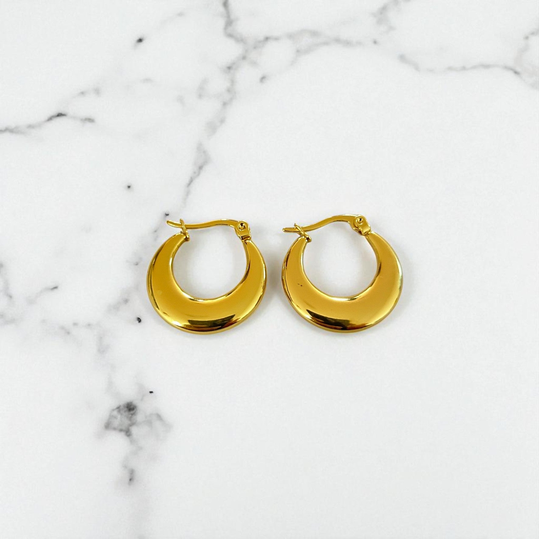 Aretes Hoops - E504