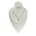 Collar Letra - N022