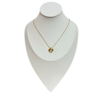 Collar Classic - N390