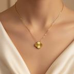 Collar Classic - N390